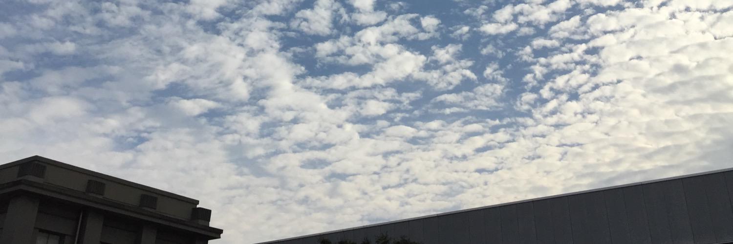 tareme414's profile banner image