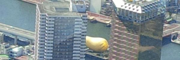 Boh_61 Profile Banner