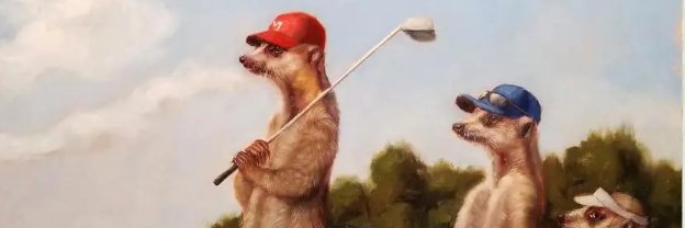 Cartewns's profile banner image