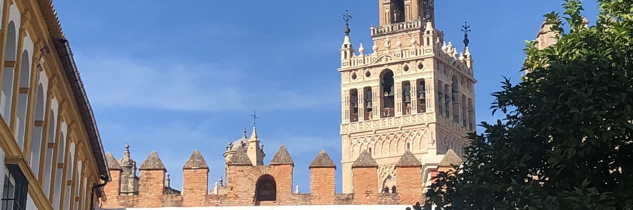 patriuscca's profile banner image