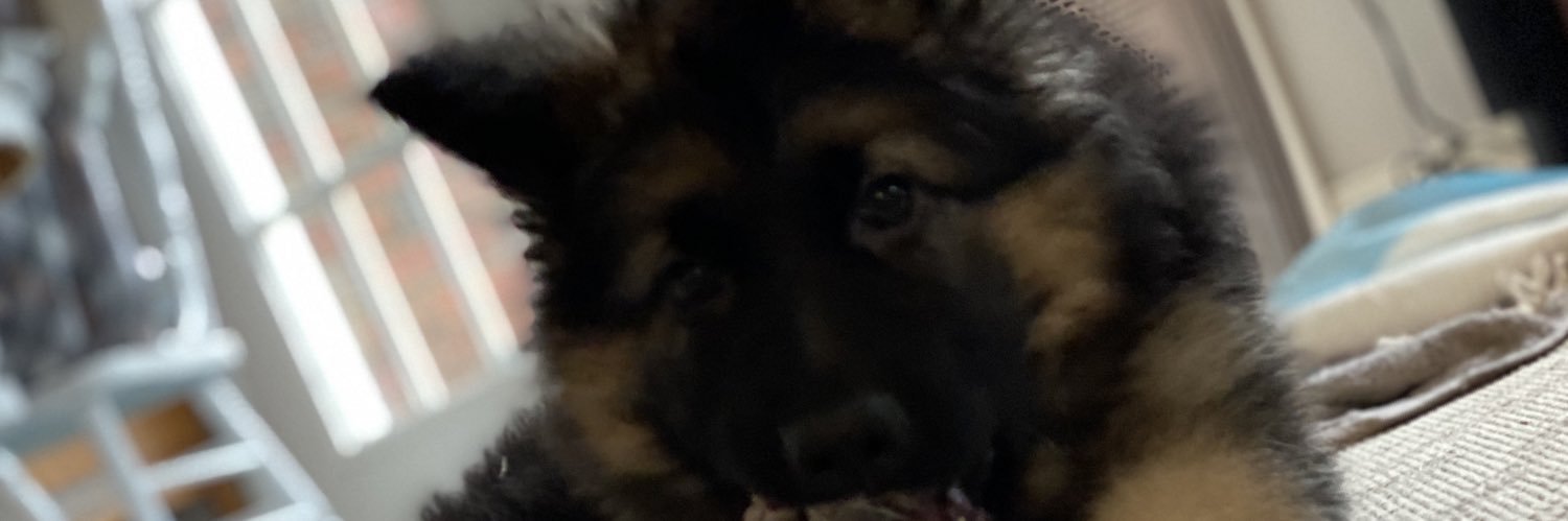 A_Remedies's profile banner image