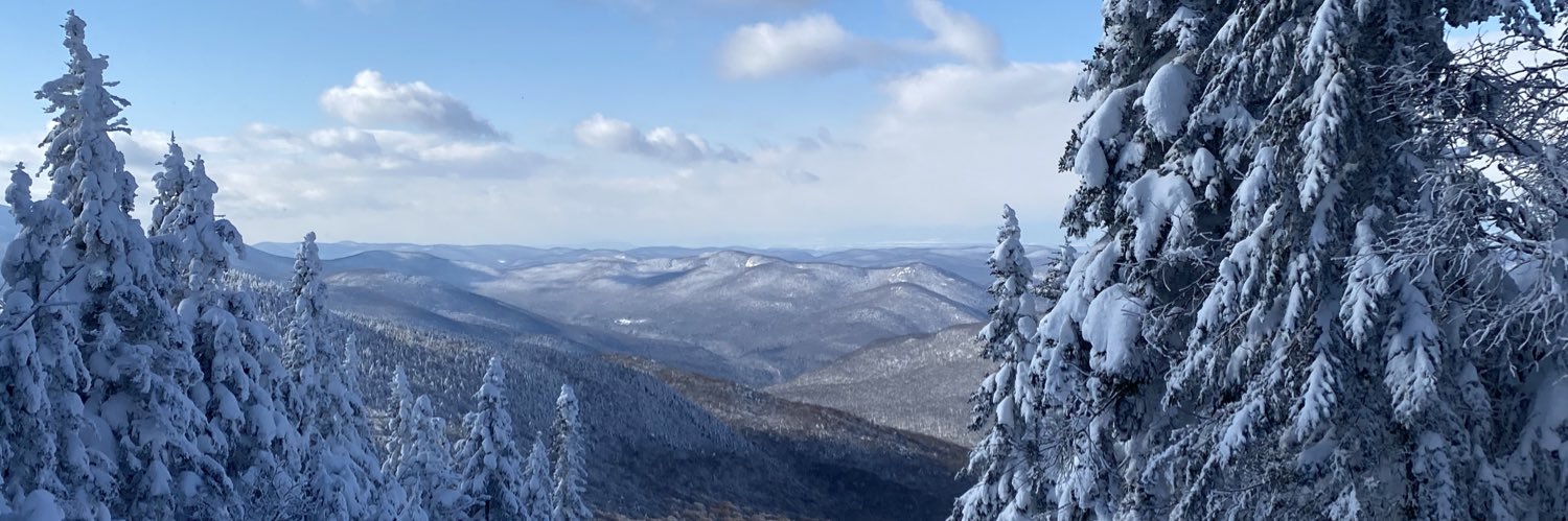 Sarah Fair George banner