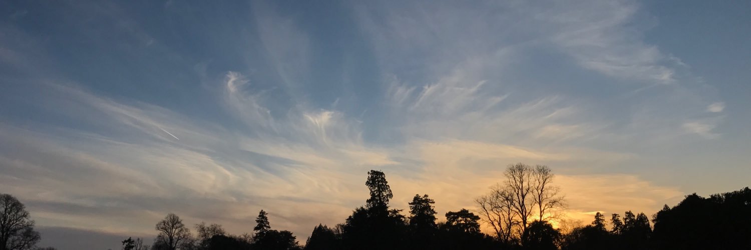 GeorgeFrost1996's profile banner image