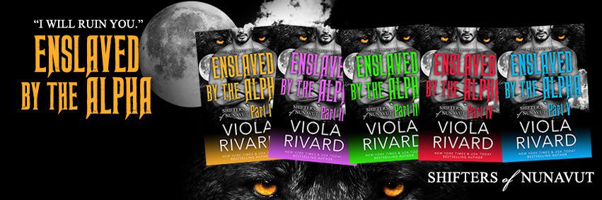 ViolaRivard's profile banner image
