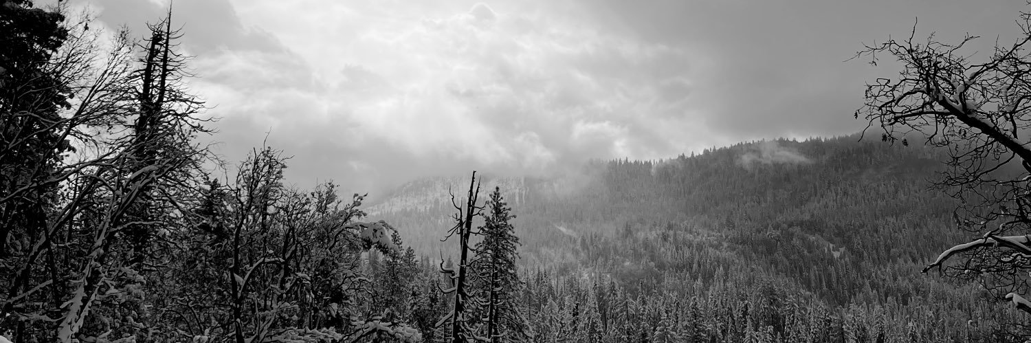sashagreenbean's profile banner image