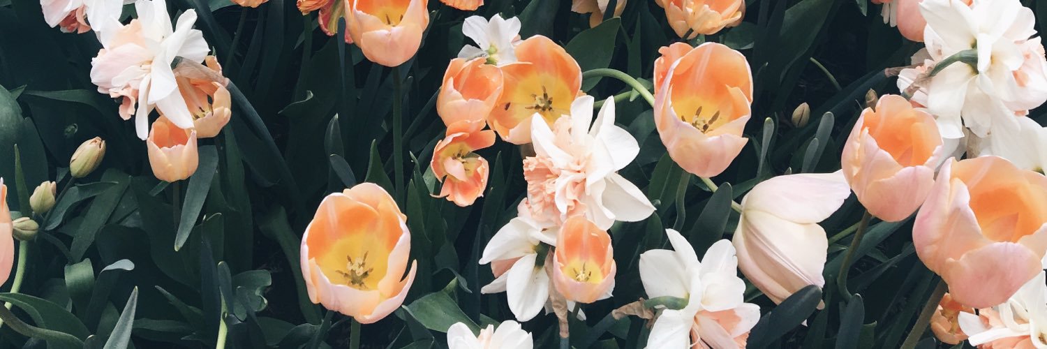 Julia_Ashli's profile banner image