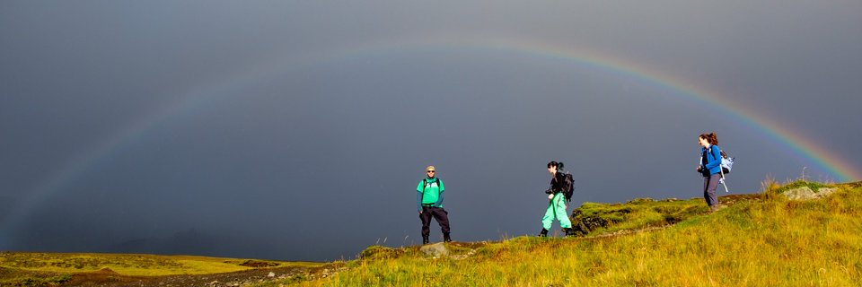 bryanwinther's profile banner image