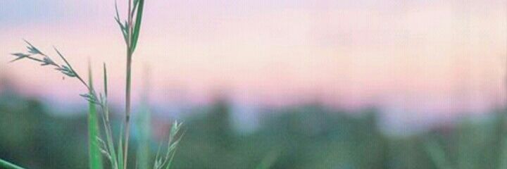 mustmellow's profile banner image
