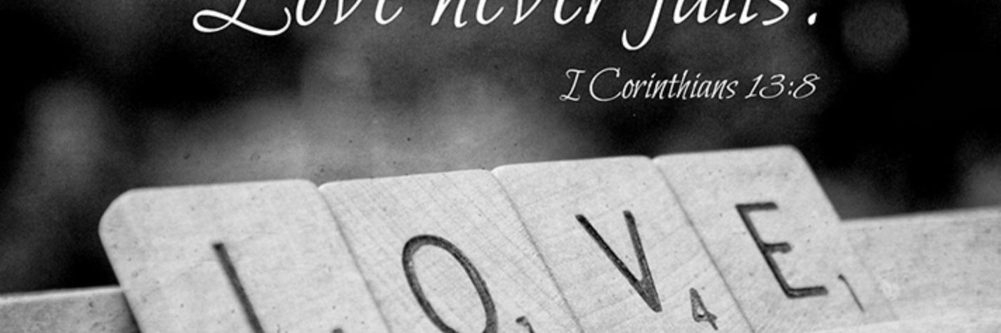 sonyacole14's profile banner image