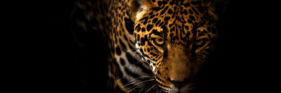 Farhad Dastur banner