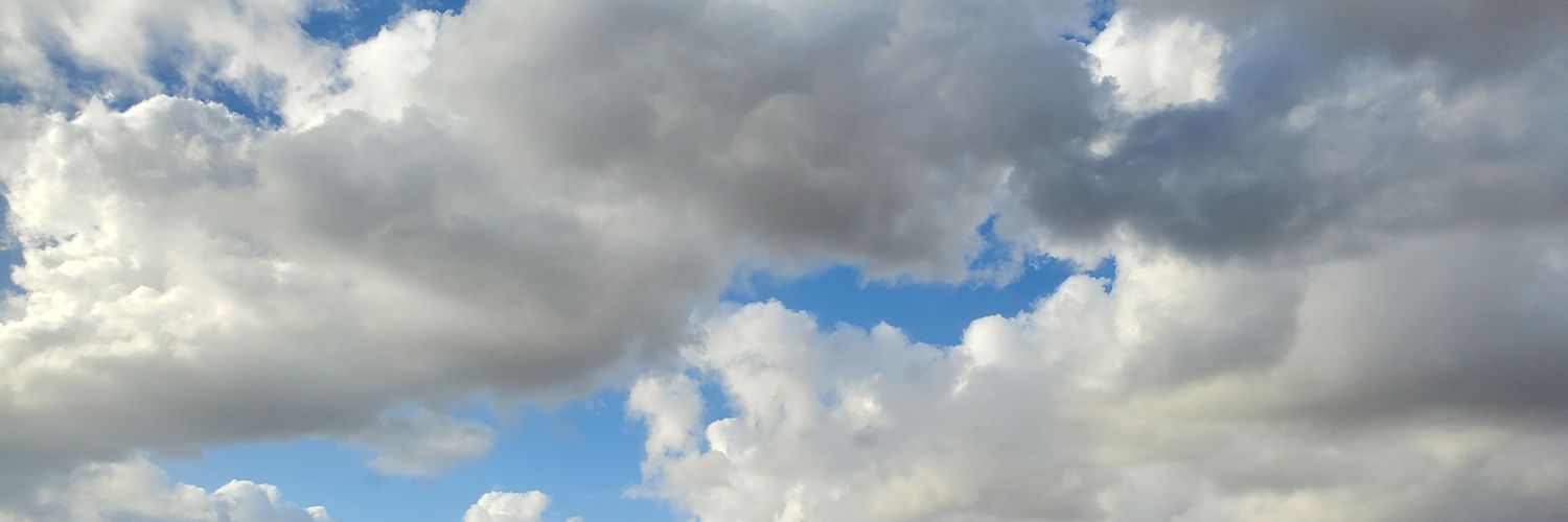 lesliemfer's profile banner image