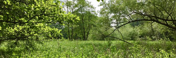 Coliban Profile Banner