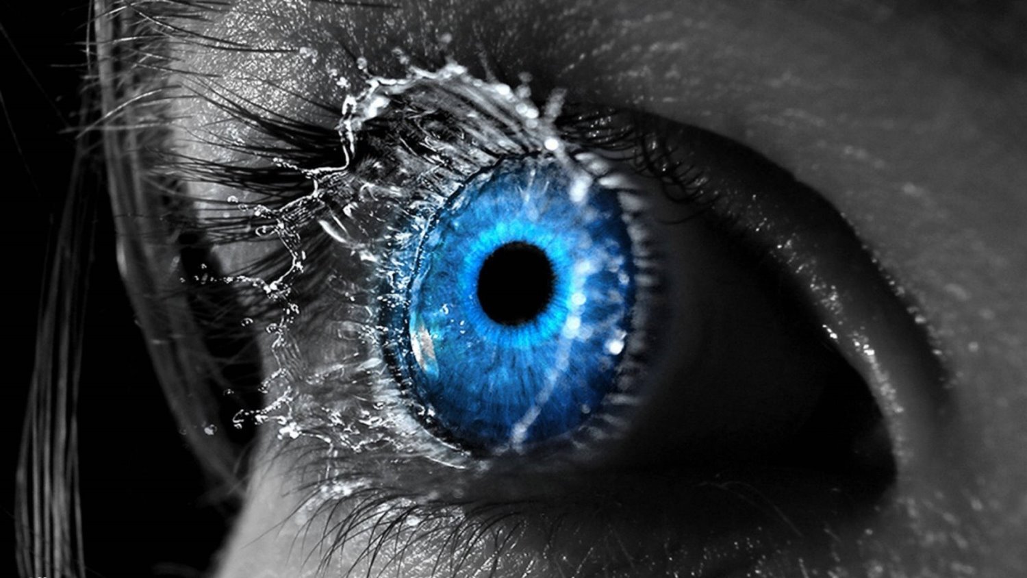 Mongent101's profile banner image