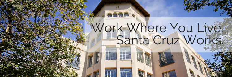 Santa Cruz Works banner