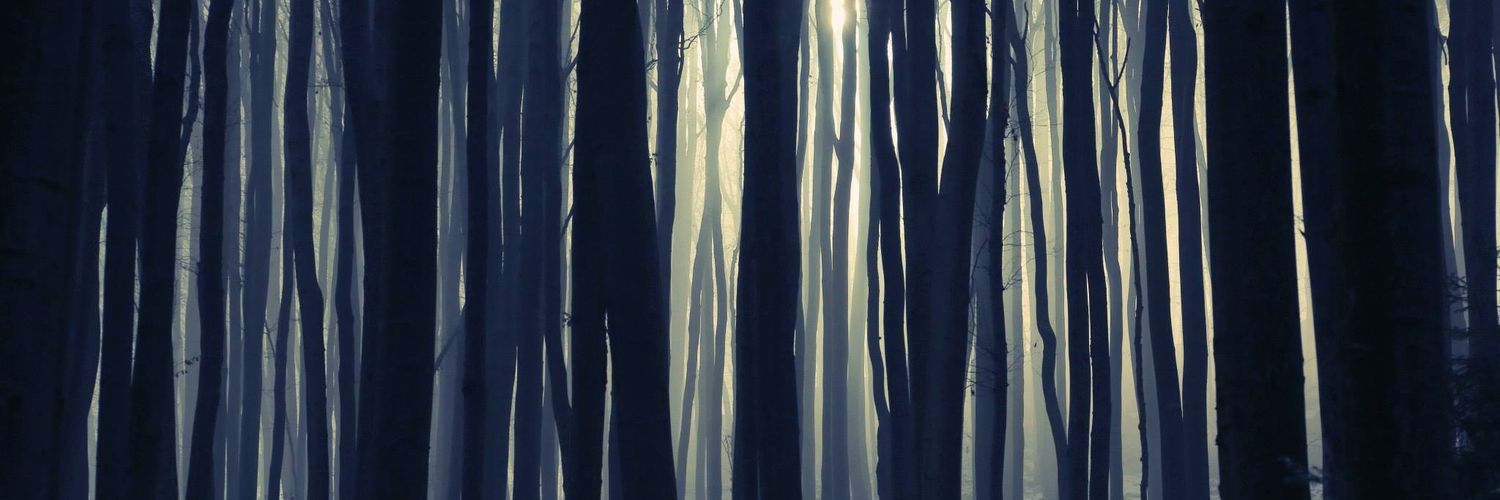 Бадерло banner