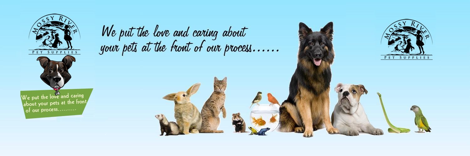 MossyRiver's profile banner image