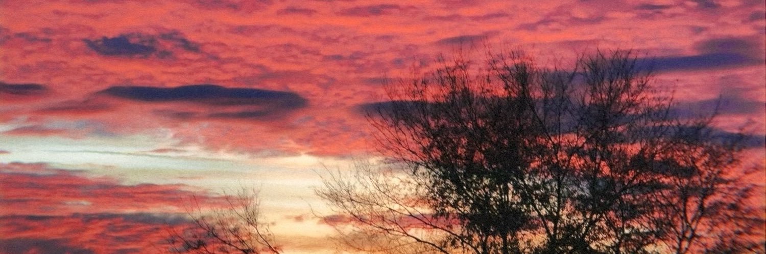 lexiy_goodwin's profile banner image