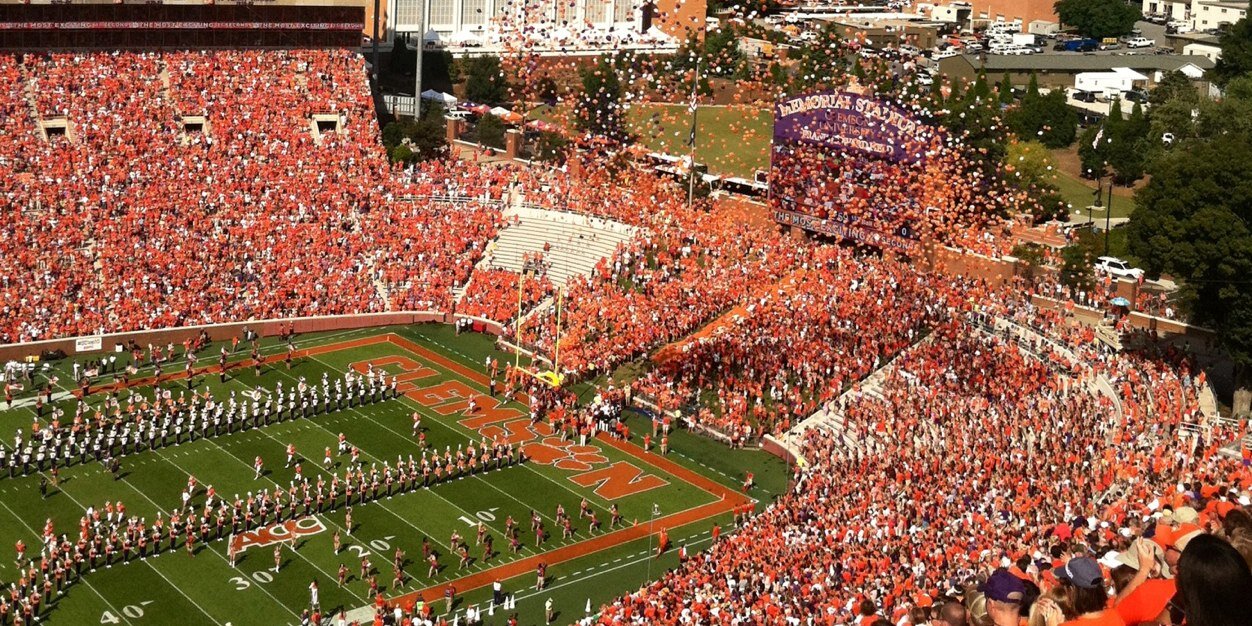 Rachel Bradshaw banner