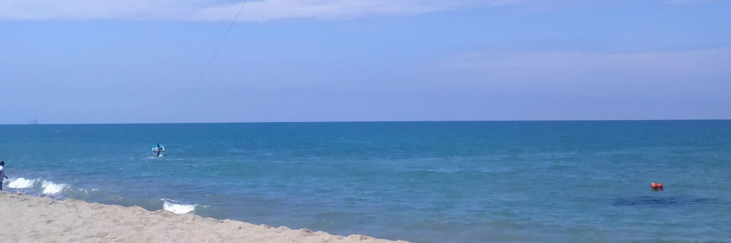 Gazzucca's profile banner image