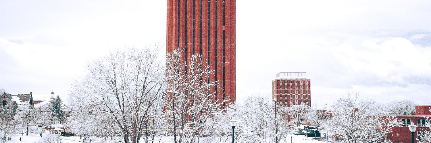 CollegianNews's profile banner image