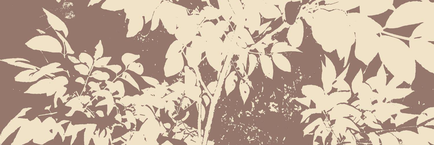 JuliiianMarques's profile banner image