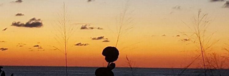 🌕🌬🌌♓'s banner