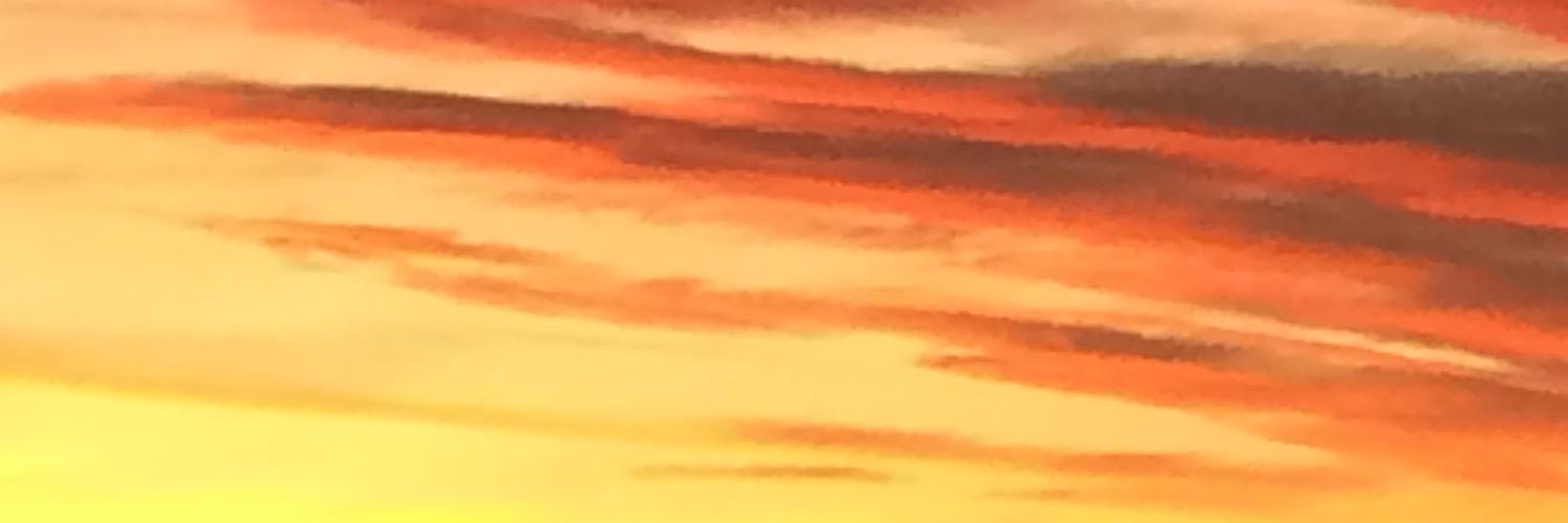 mdschina's profile banner image