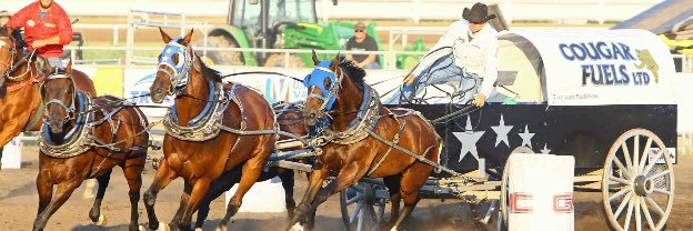 Layne MacGillivray banner
