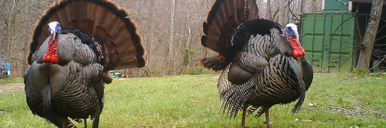 FMF_Outdoors's profile banner image