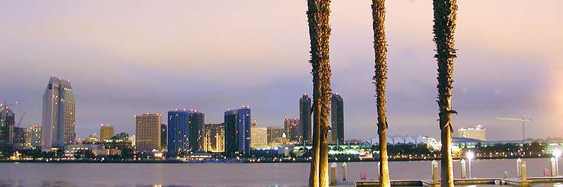 Paula Whitsell banner