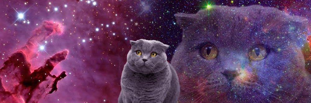 _ichirota_'s profile banner image