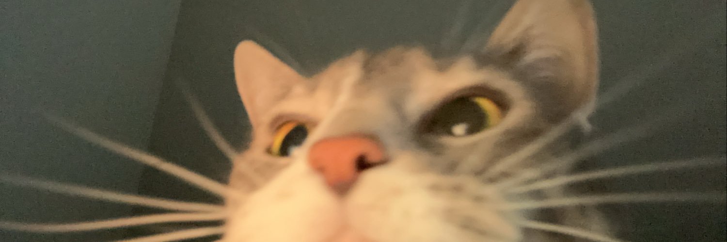 loganswear's profile banner image