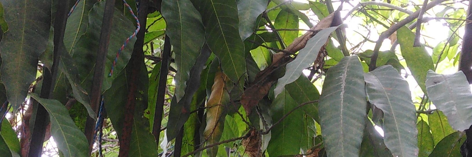 EdgararceecArce's profile banner image