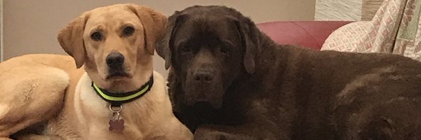 shadowmakka Profile Banner