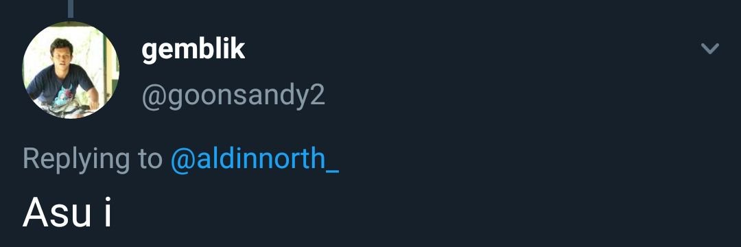 aldinnorth_'s profile banner image