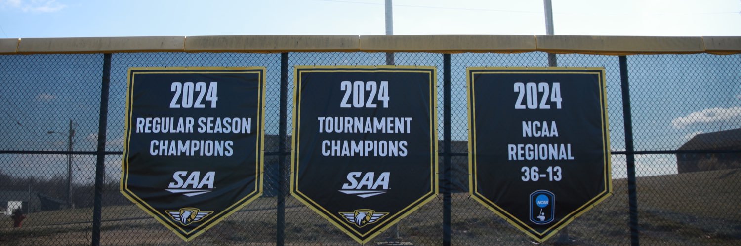 Centre Baseball's banner