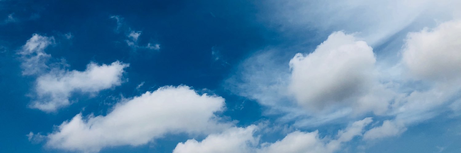 pig03121's profile banner image