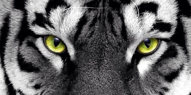 luisosorio99's profile banner image
