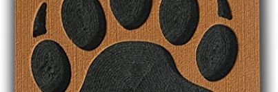 jorge83806775's profile banner image