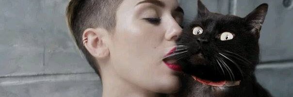Heebster69's profile banner image