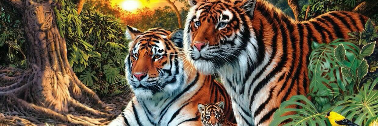 Tyagi1Amit's profile banner image