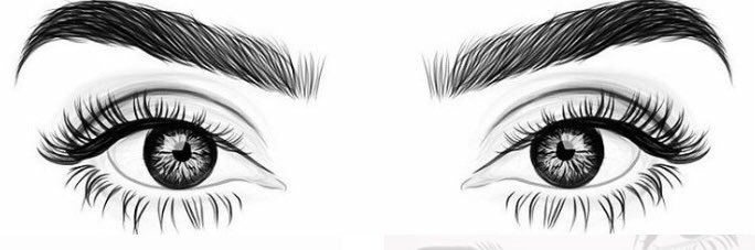cathydawnn's profile banner image