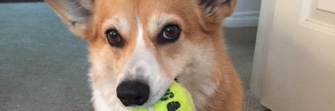 DuffyEdjduffy's profile banner image
