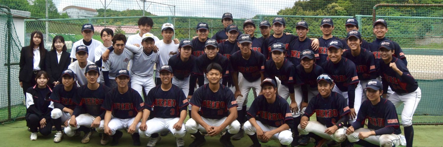 nit_baseball's profile banner image