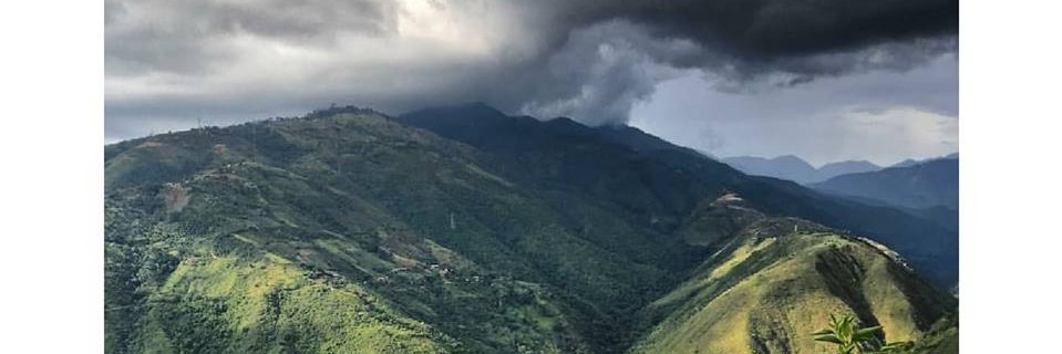 Lulabellk's profile banner image