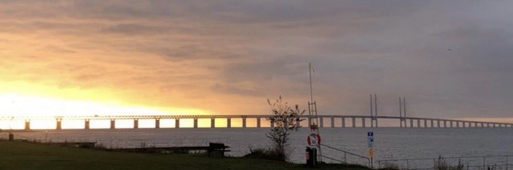 Maggie Strömberg banner