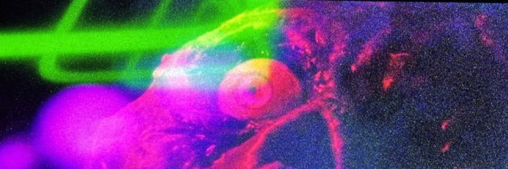 Austin Jennings banner