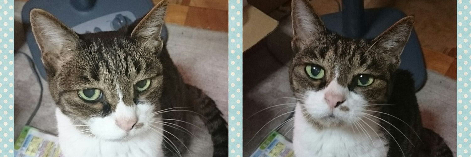 nyankorock443's profile banner image