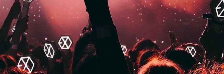 evefy_panda's profile banner image