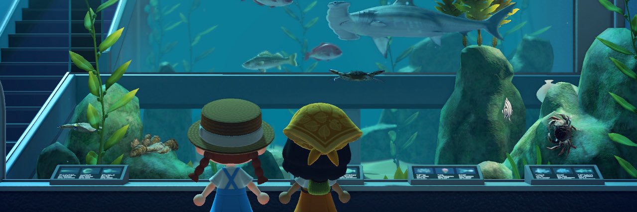 beruumen's profile banner image